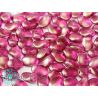 20 pz Tulip Petals 6x8mm in vetro di boemia Crystal GT French Rose