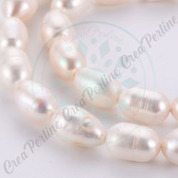 Perla di Fiume Panna calibro 8-10 mm Tipo Chicco di Riso - 10 Pezzi